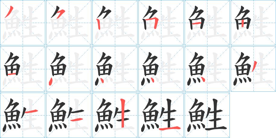 鮏的笔顺分步演示图