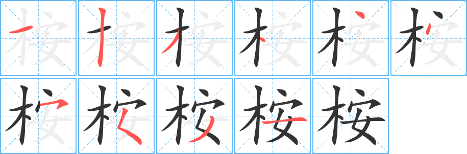 桉的笔顺分步演示图