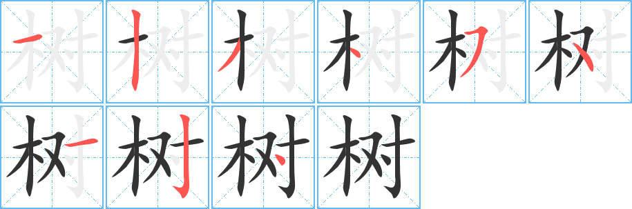 树的笔顺分步演示图