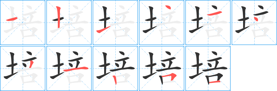 培的笔顺分步演示图