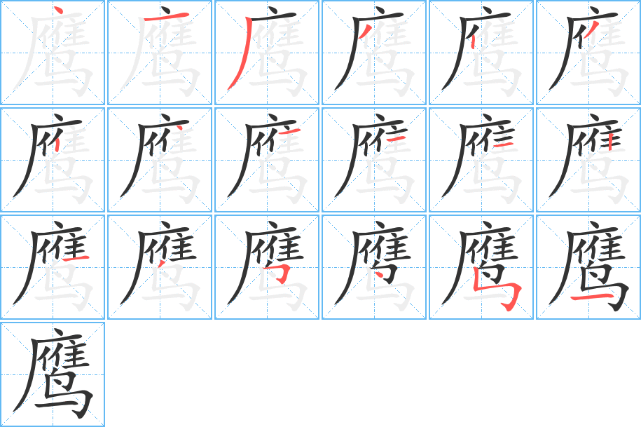 鹰的笔顺分步演示图