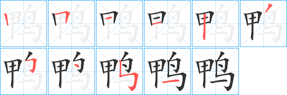 鸭的笔顺分步演示图