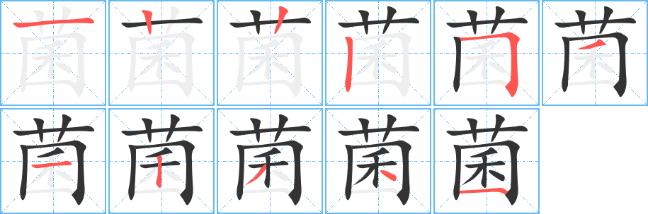 菌的笔顺分步演示图