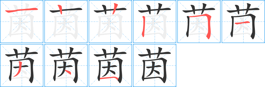茵的笔顺分步演示图