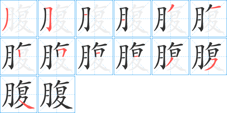 腹的笔顺分步演示图