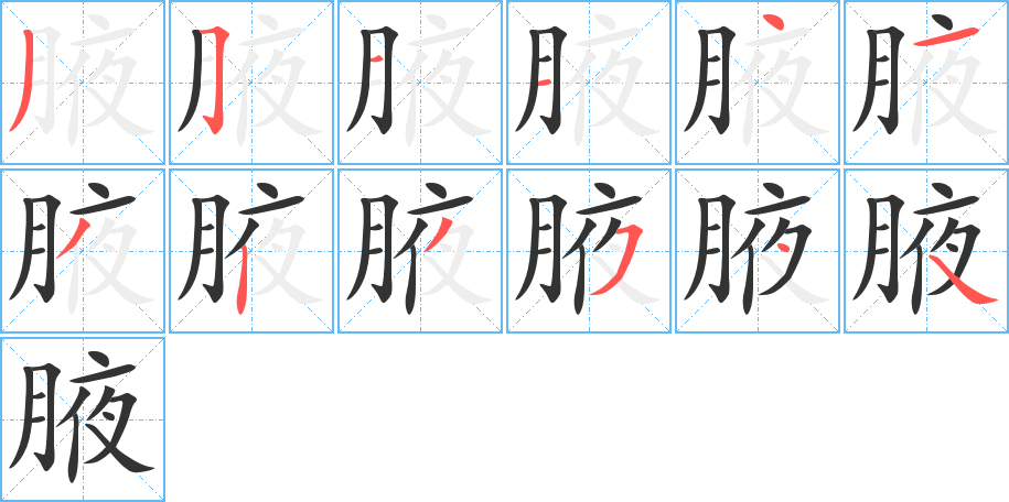腋的笔顺分步演示图