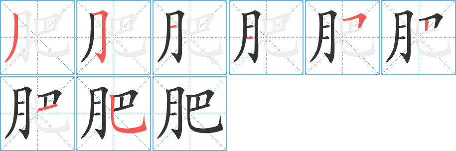 肥的笔顺分步演示图