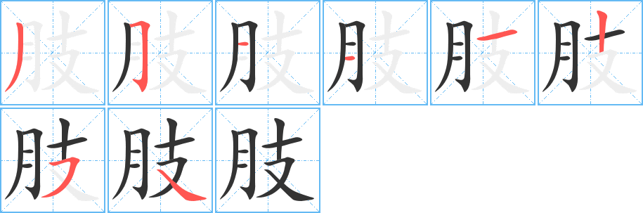 肢的笔顺分步演示图
