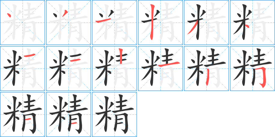 精的笔顺分步演示图