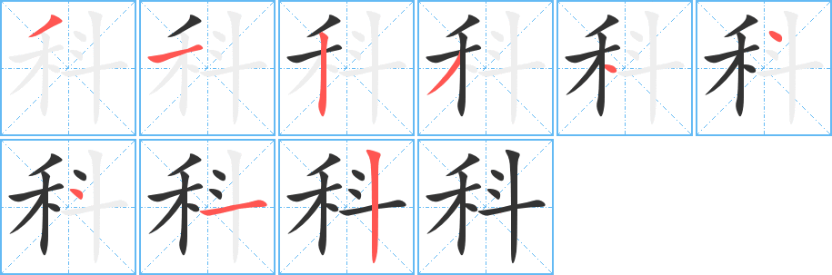 科的笔顺分步演示图