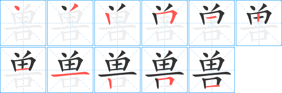 兽的笔顺分步演示图