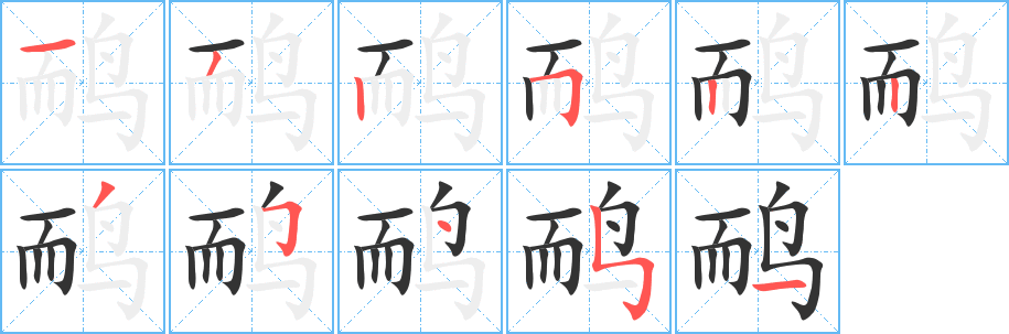 鸸的笔顺分步演示图