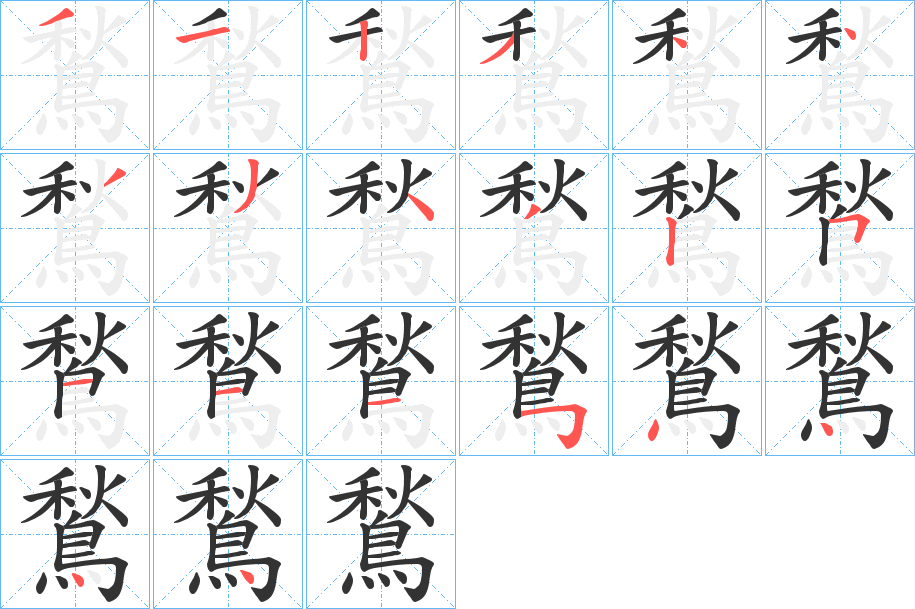 鶖的笔顺分步演示图