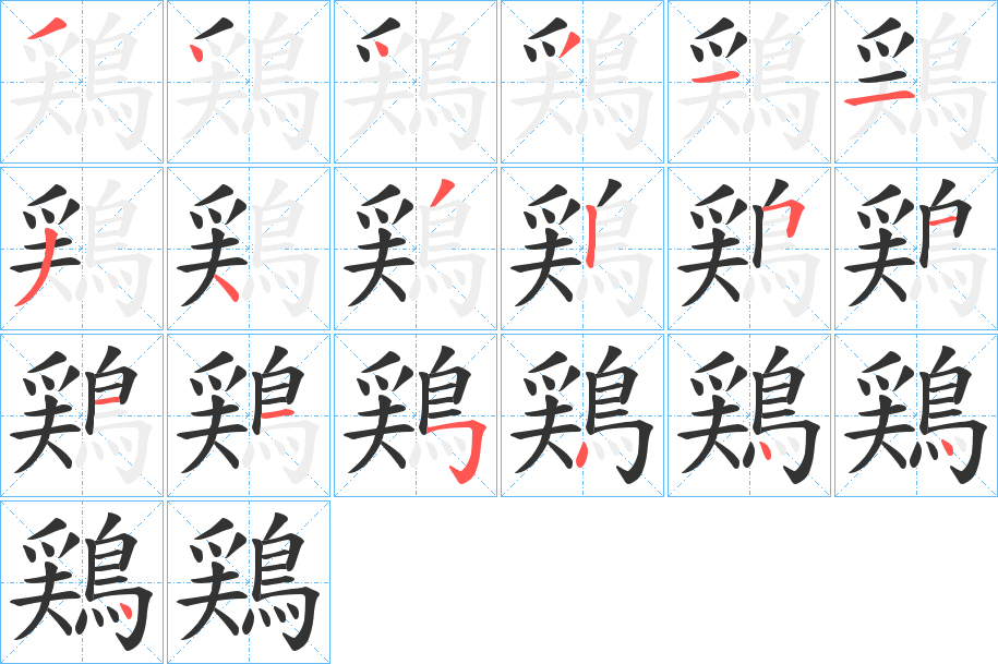 鶏的笔顺分步演示图