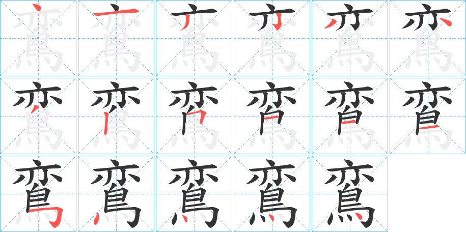 鵉的笔顺分步演示图
