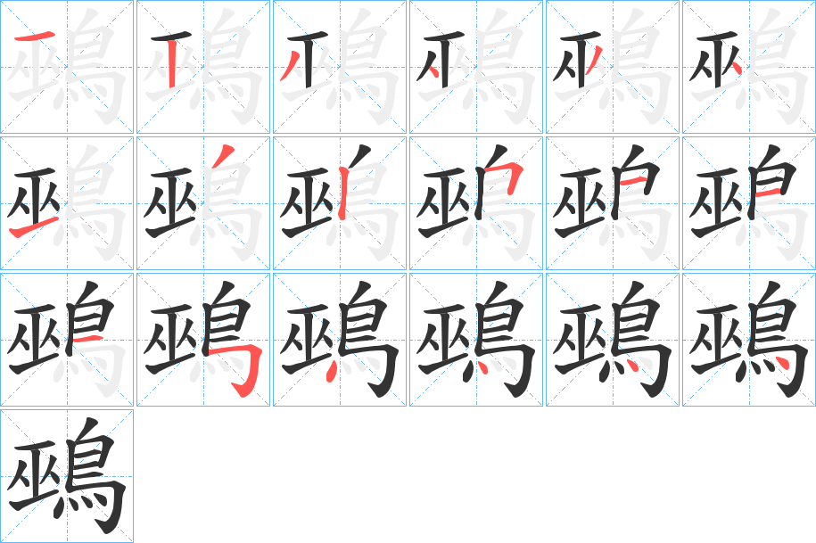 鵐的笔顺分步演示图