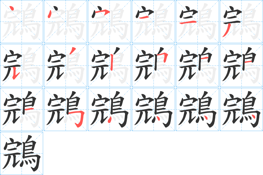 鵍的笔顺分步演示图