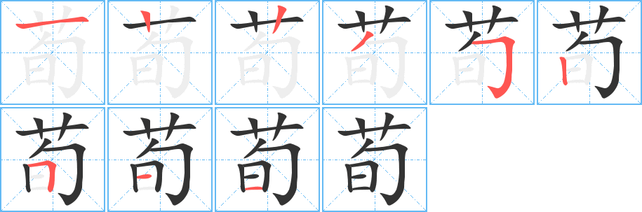 荀的笔顺分步演示图