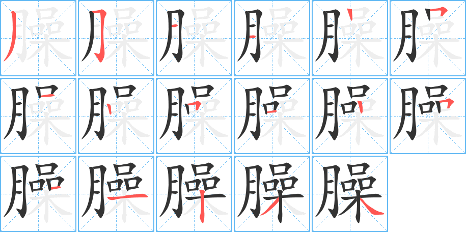 臊的笔顺分步演示图