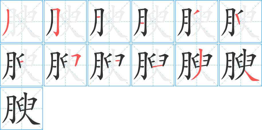 腴的笔顺分步演示图