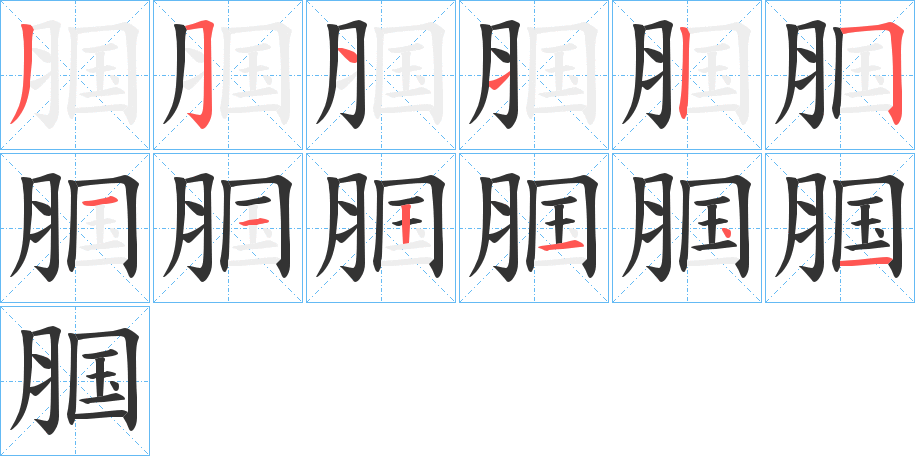 腘的笔顺分步演示图