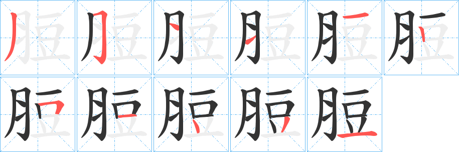 脰的笔顺分步演示图