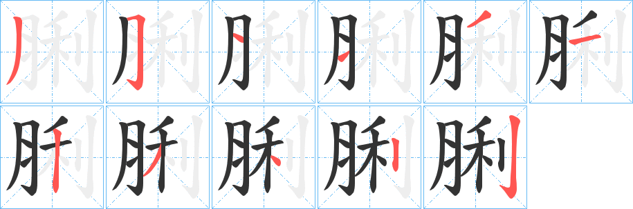 脷的笔顺分步演示图