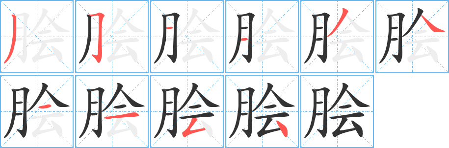 脍的笔顺分步演示图