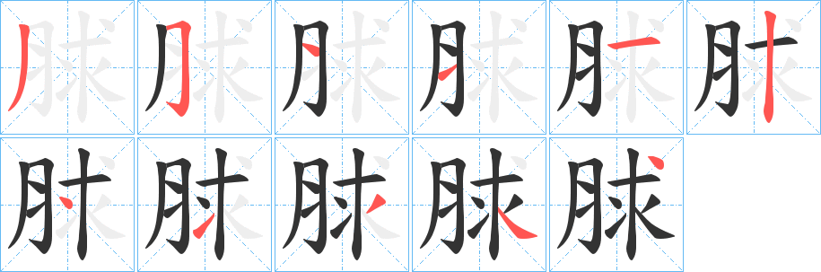 脙的笔顺分步演示图