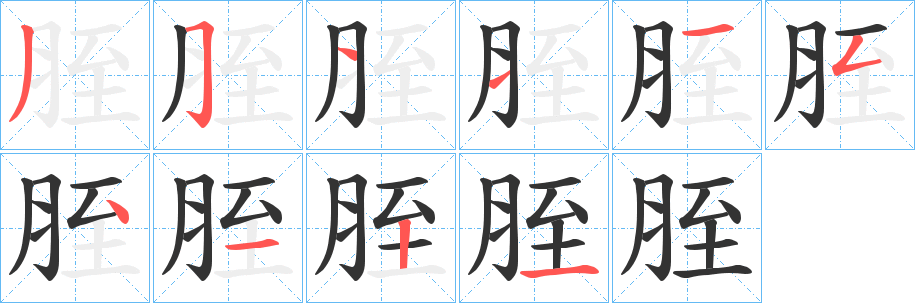 胵的笔顺分步演示图