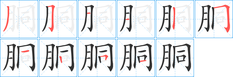 胴的笔顺分步演示图