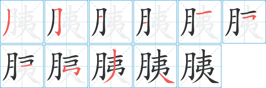 胰的笔顺分步演示图