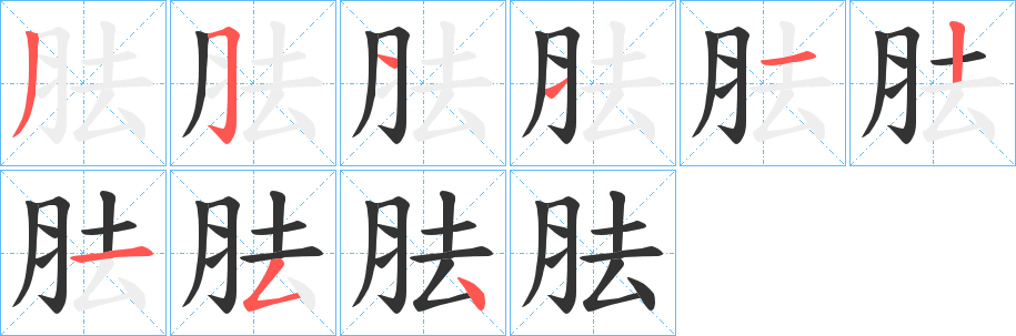 胠的笔顺分步演示图