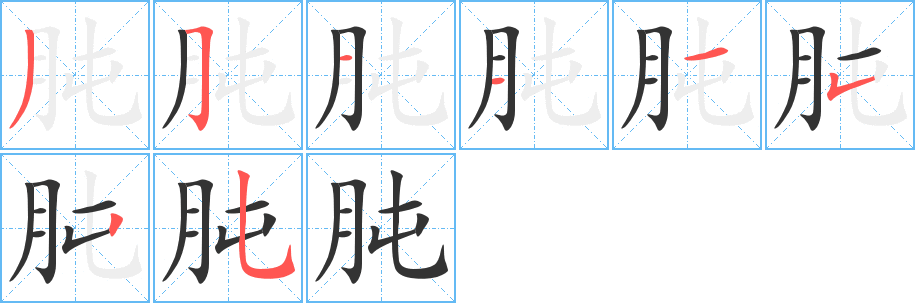 肫的笔顺分步演示图