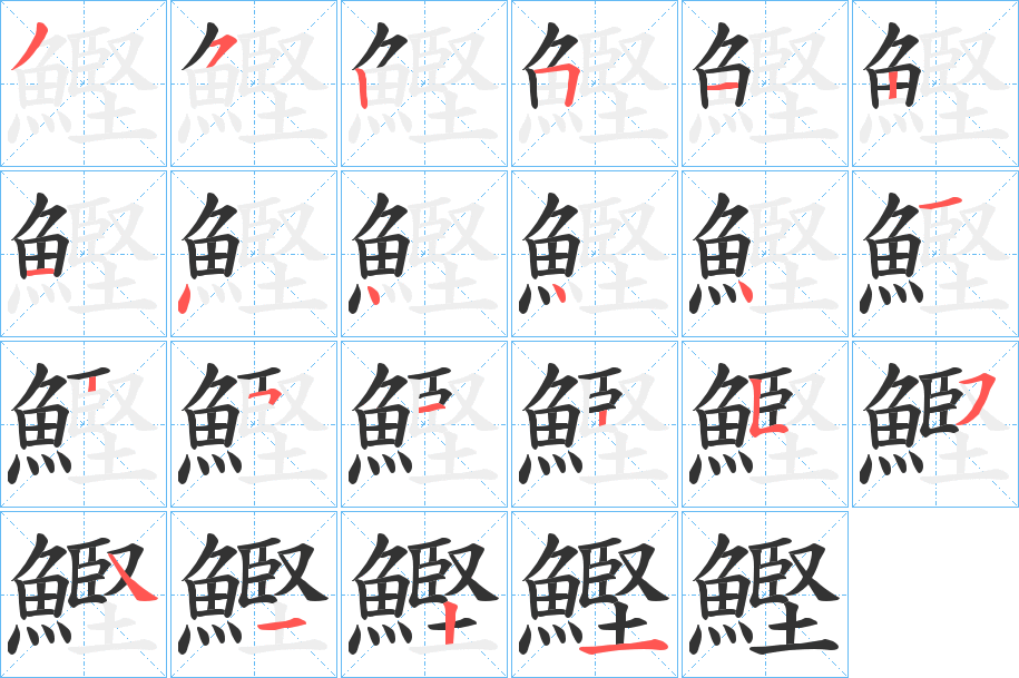 鰹的笔顺分步演示图