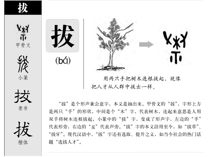 拔字字源字形