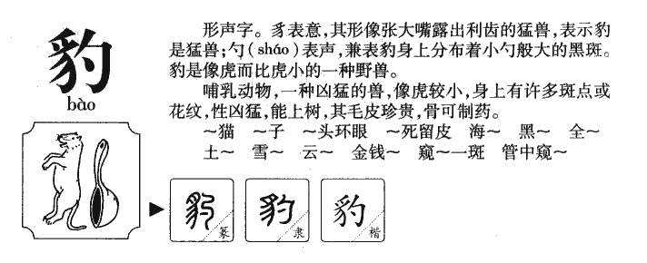 豹字字源字形