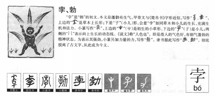 孛字字源字形