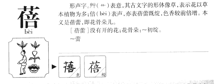 蓓字字源字形
