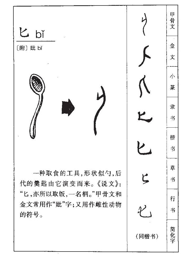 匕字字源字形