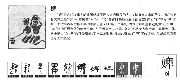 婢字字源字形