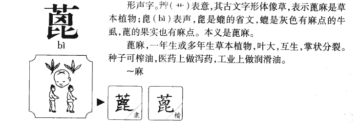 蓖字字源字形