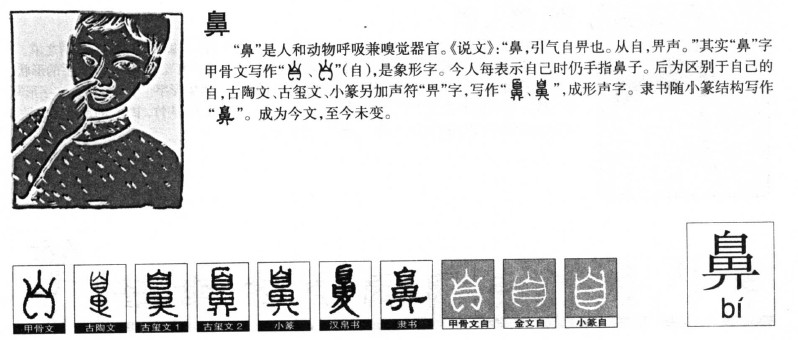 鼻字字源字形