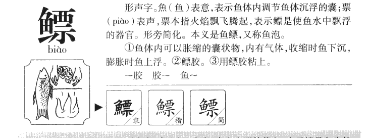 鳔字字源字形