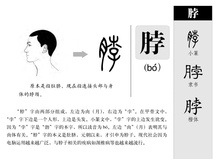 脖字字源字形