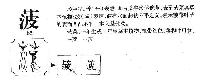 菠字字源字形
