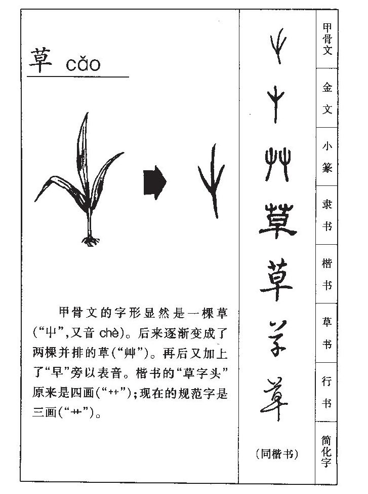 草字字源字形