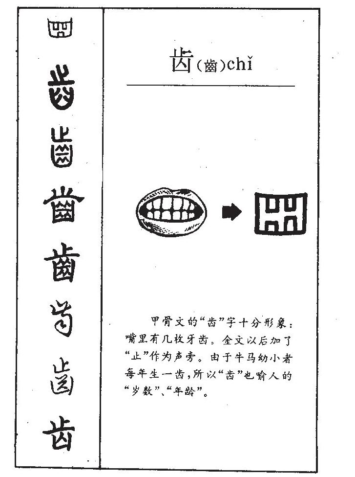 齿字字源字形
