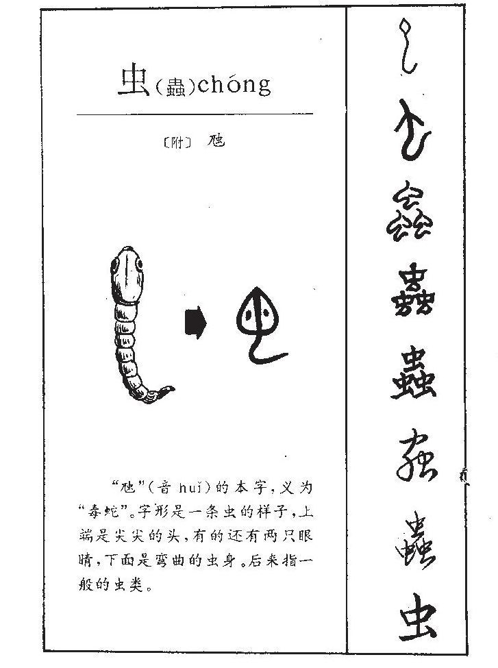 虫字字源字形