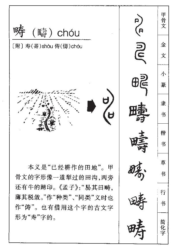 畴字字源字形